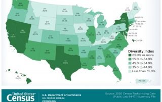 Map of Racial and Ethnic Diversity Index
